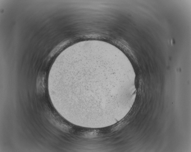 X0000083980116200703161607