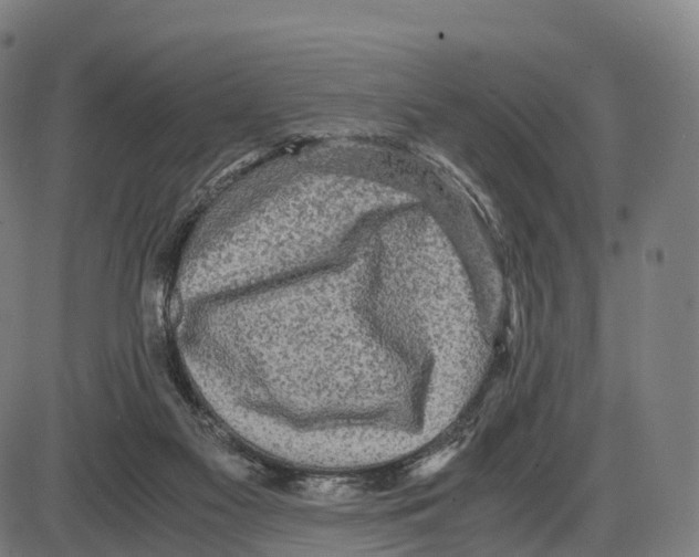 X0000083980117200703161607