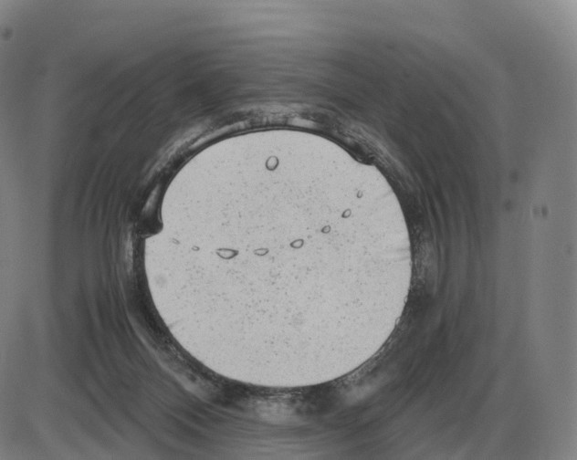 X0000083980120200703161607