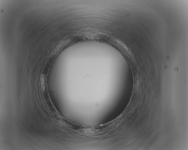 X0000083980121200703161607