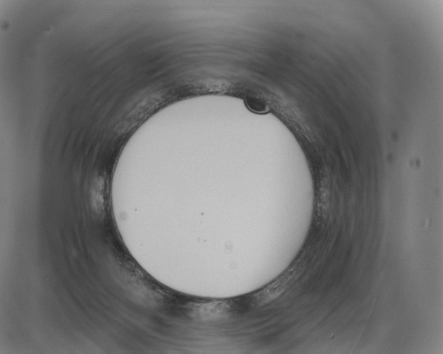 X0000083980122200703161607