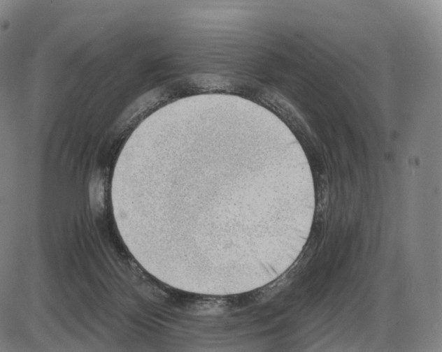 X0000083980124200703161607