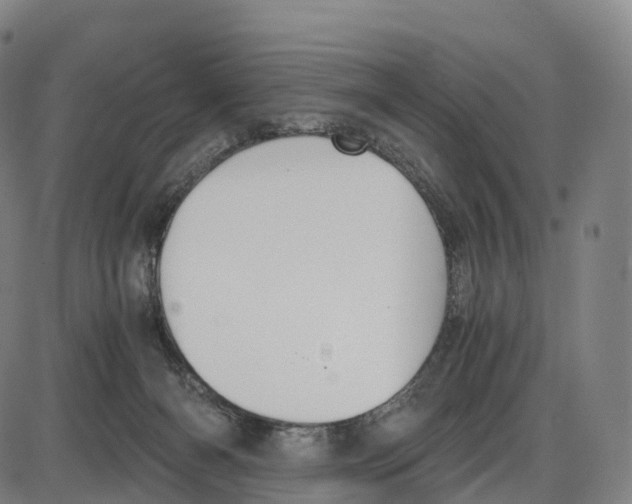 X0000083980126200703161607