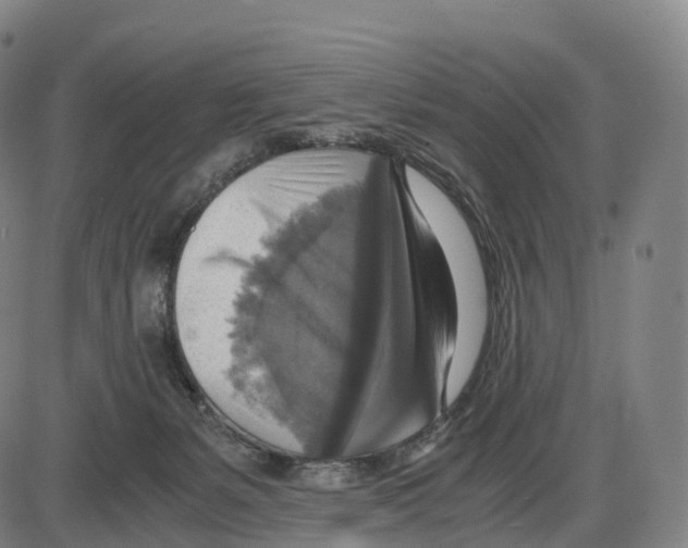 X0000083980127200703161607