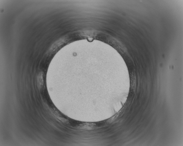 X0000083980128200703161607