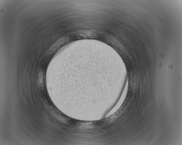 X0000083980132200703161607