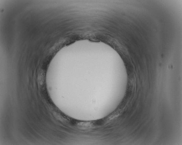 X0000083980133200703161607