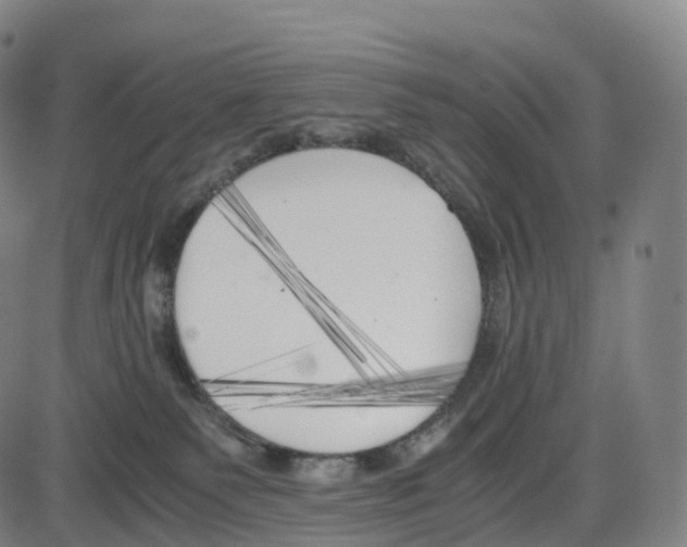 X0000083980135200703161607