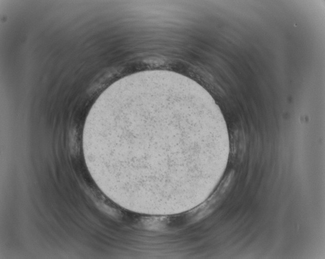 X0000083980136200703161607