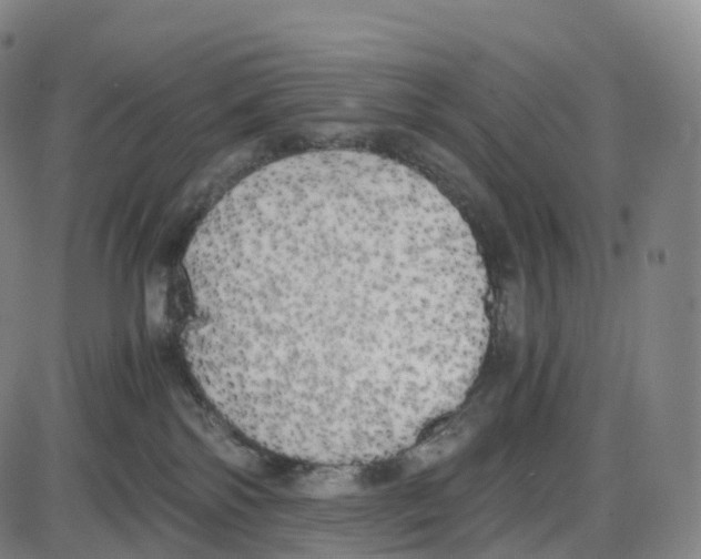 X0000083980138200703161607