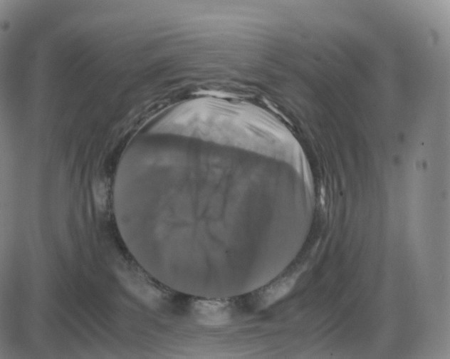 X0000083980139200703161607