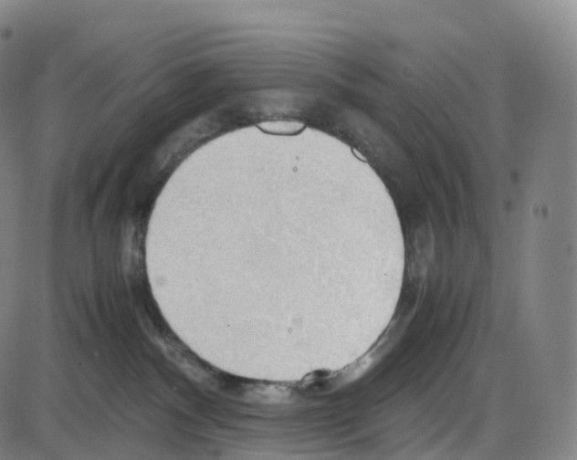 X0000083980140200703161607