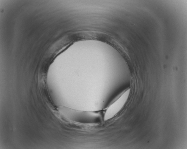 X0000083980141200703161607