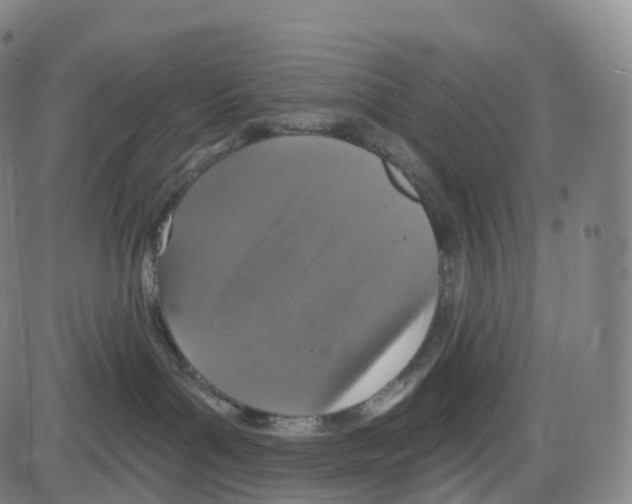 X0000083980143200703161607