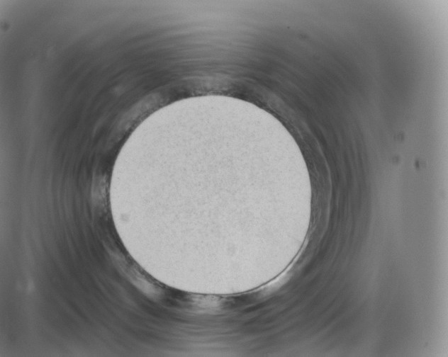 X0000083980144200703161607