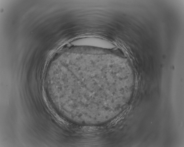 X0000083980145200703161606