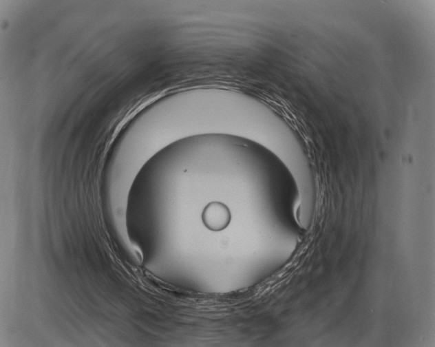 X0000083980146200703161606