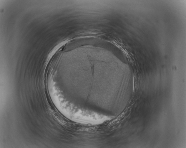 X0000083980147200703161606