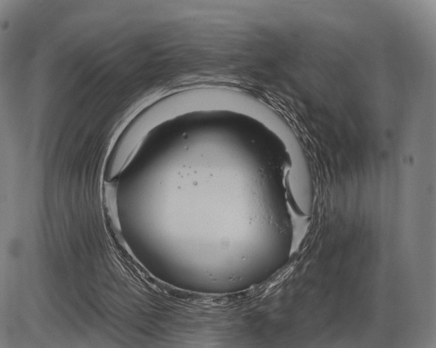 X0000083980148200703161606