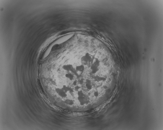 X0000083980149200703161606