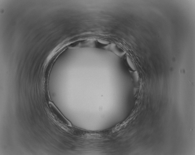 X0000083980150200703161606