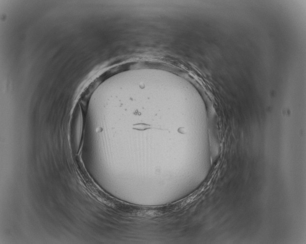 X0000083980152200703161606