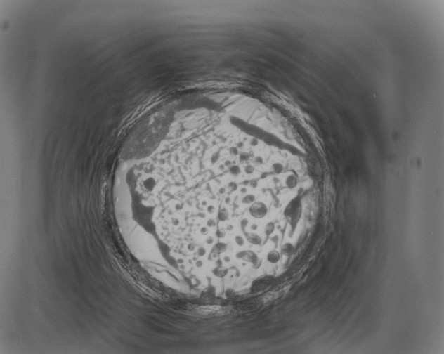 X0000083980153200703161606