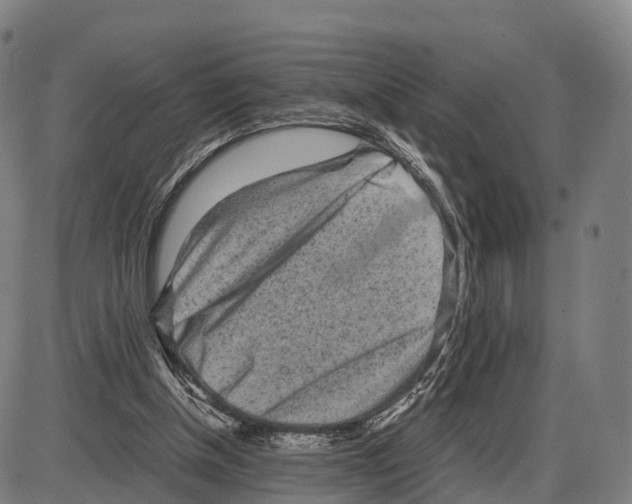 X0000083980154200703161606