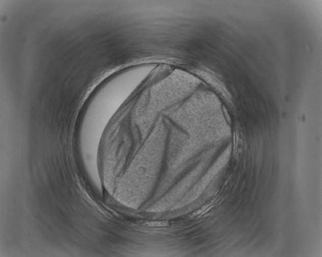 X0000083980156200703161606