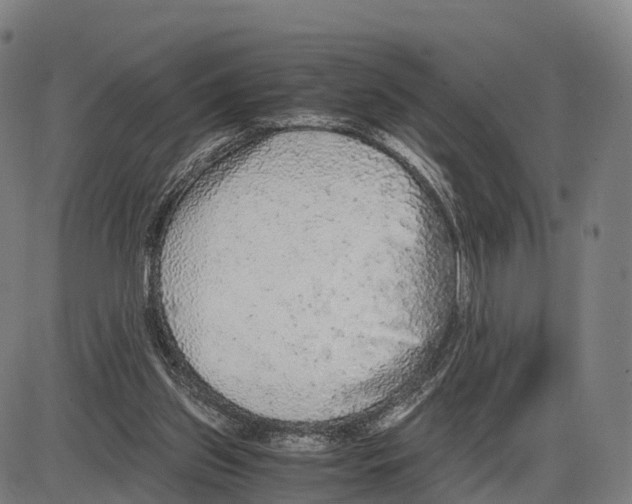 X0000083980157200703161606