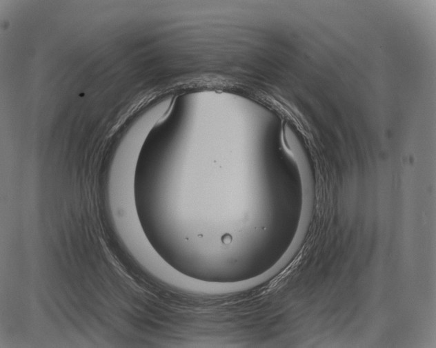 X0000083980158200703161606