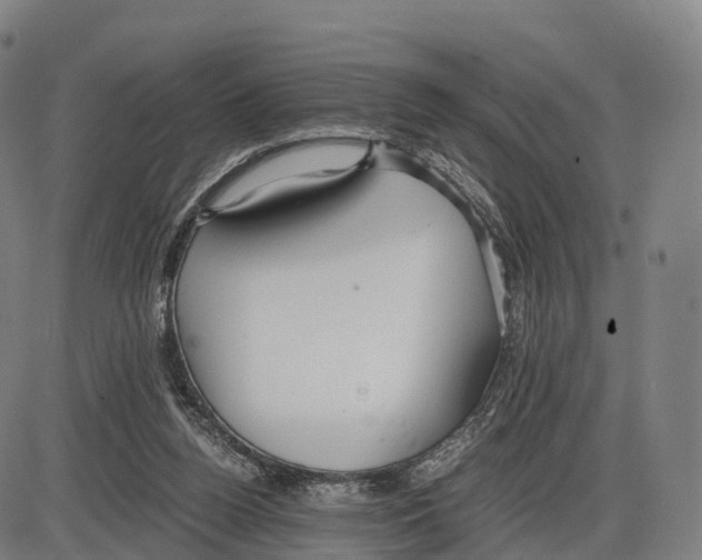 X0000083980160200703161606