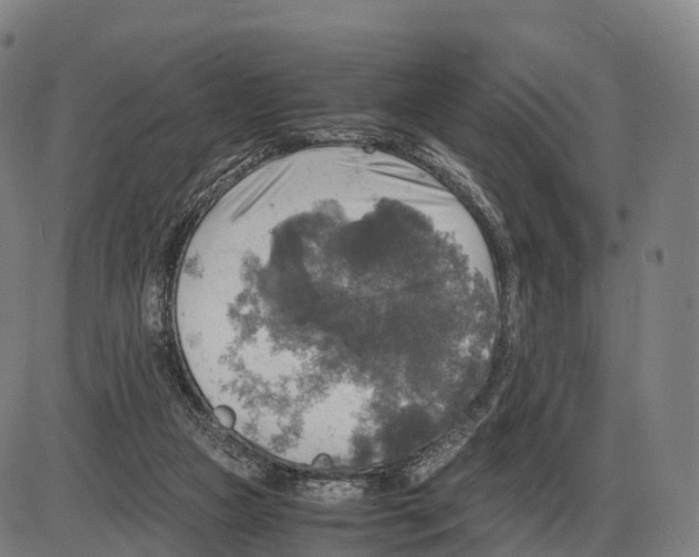 X0000083980161200703161606