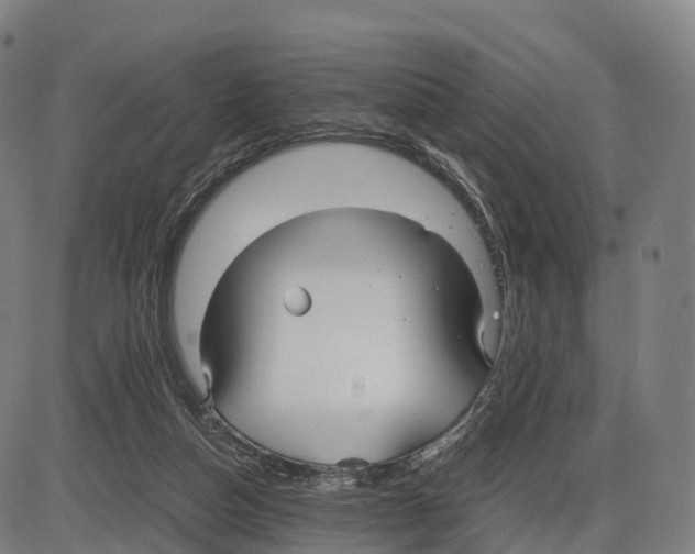 X0000083980162200703161606