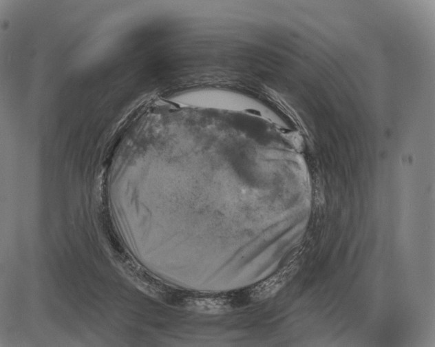 X0000083980163200703161606