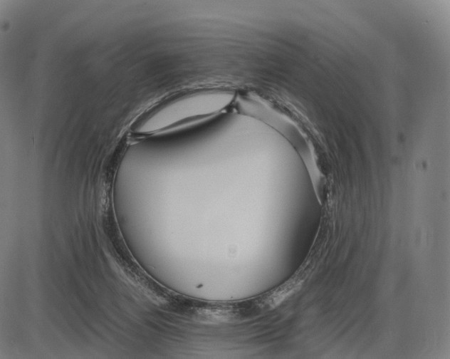 X0000083980164200703161606