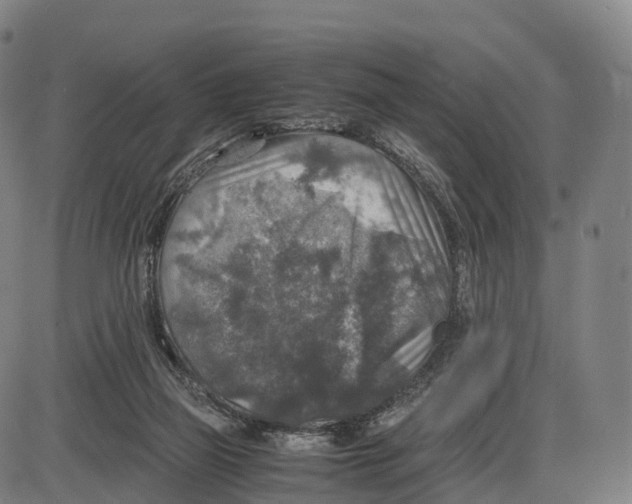 X0000083980165200703161606