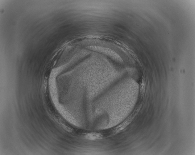 X0000083980168200703161606