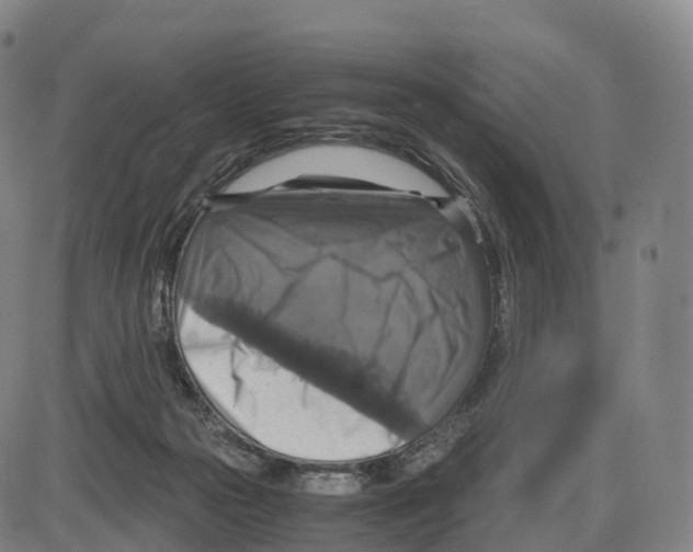 X0000083980169200703161606