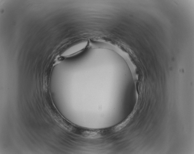 X0000083980170200703161606