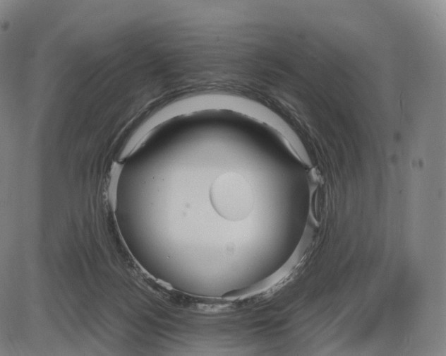 X0000083980172200703161606