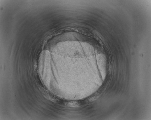 X0000083980173200703161606