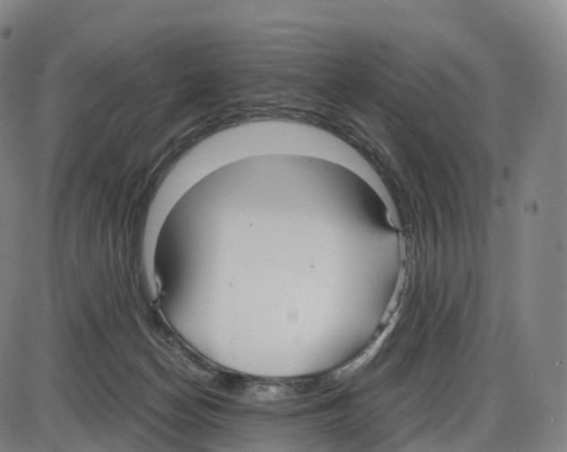 X0000083980174200703161606