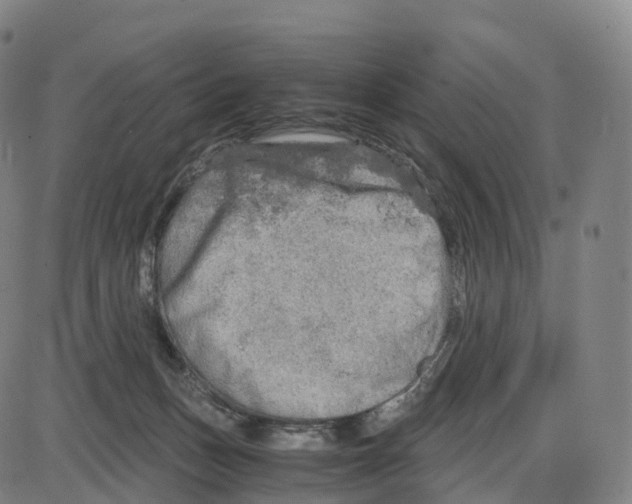 X0000083980175200703161606