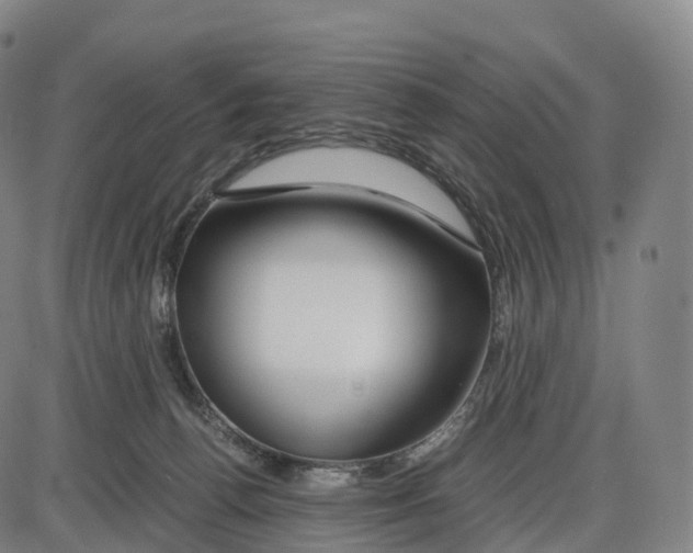 X0000083980176200703161606