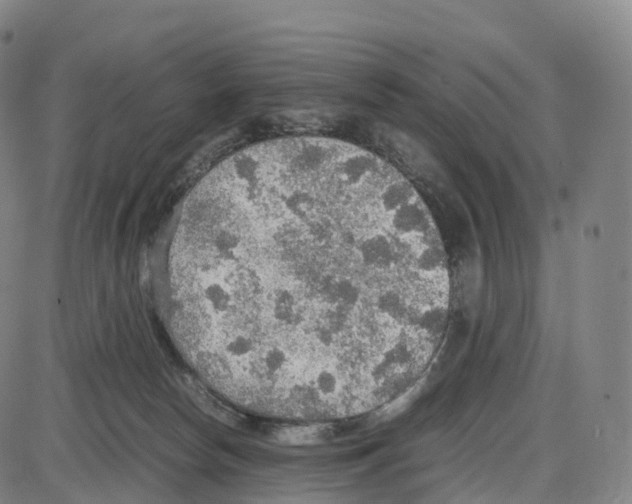 X0000083980178200703161606