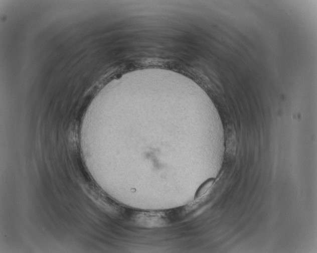 X0000083980179200703161606