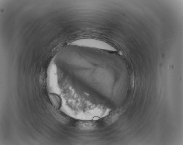 X0000083980181200703161606