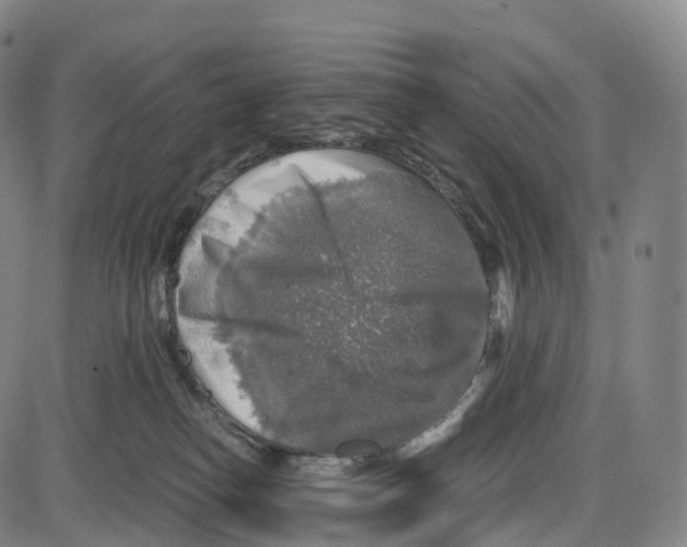 X0000083980182200703161606