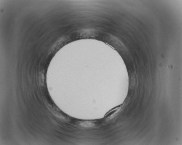 X0000083980183200703161606